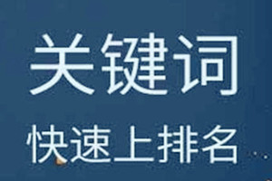 淘寶提升關(guān)鍵詞排名的技巧是什么-淘寶提升關(guān)鍵詞排名的技巧是什么意思